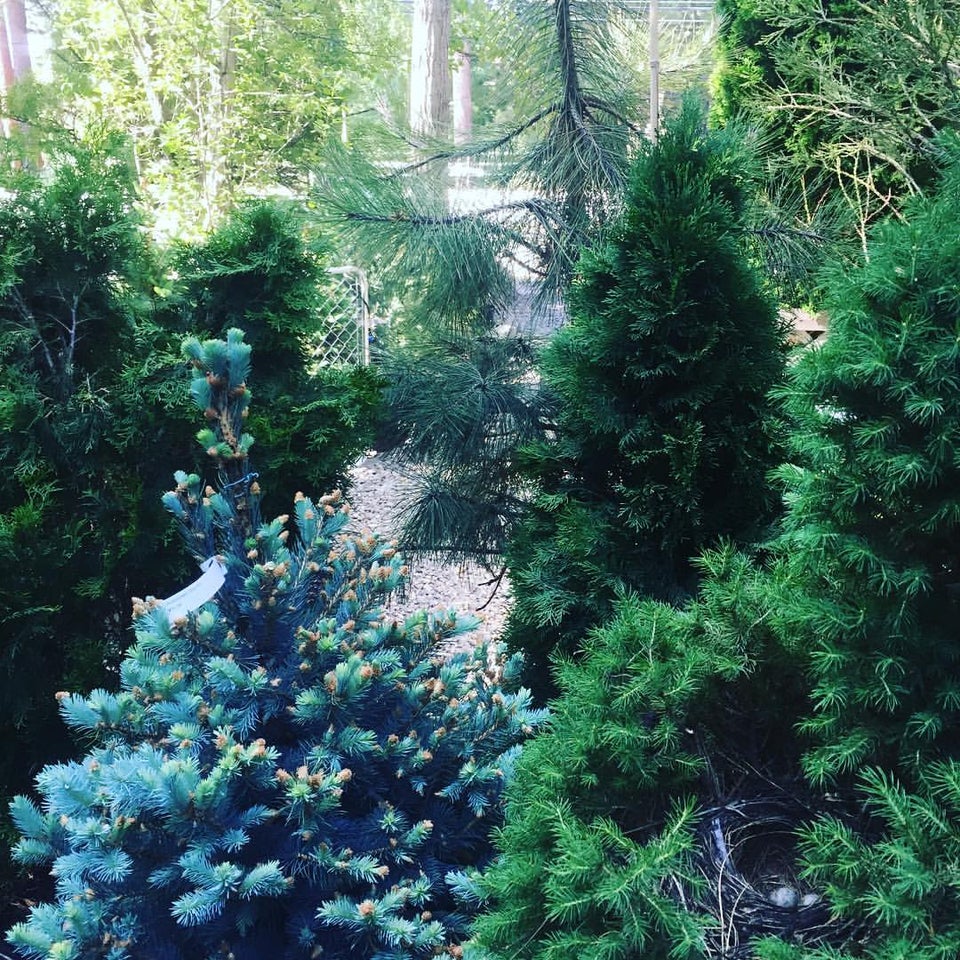 High Sierra Gardens, Inc. 866 Tahoe Blvd, Incline Village