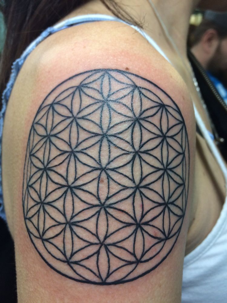 Photo credit: 