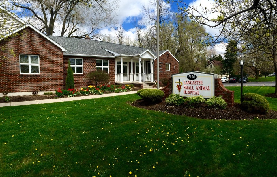Lancaster Small Animal Hospital 5156 Genesee St, Bowmansville