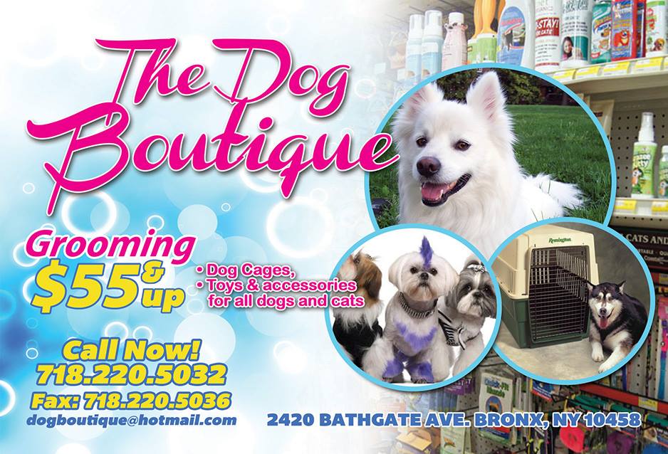 The Dog Boutique