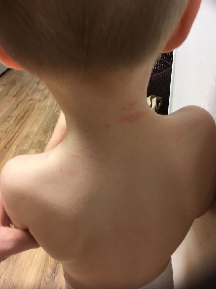 Photo credit: 