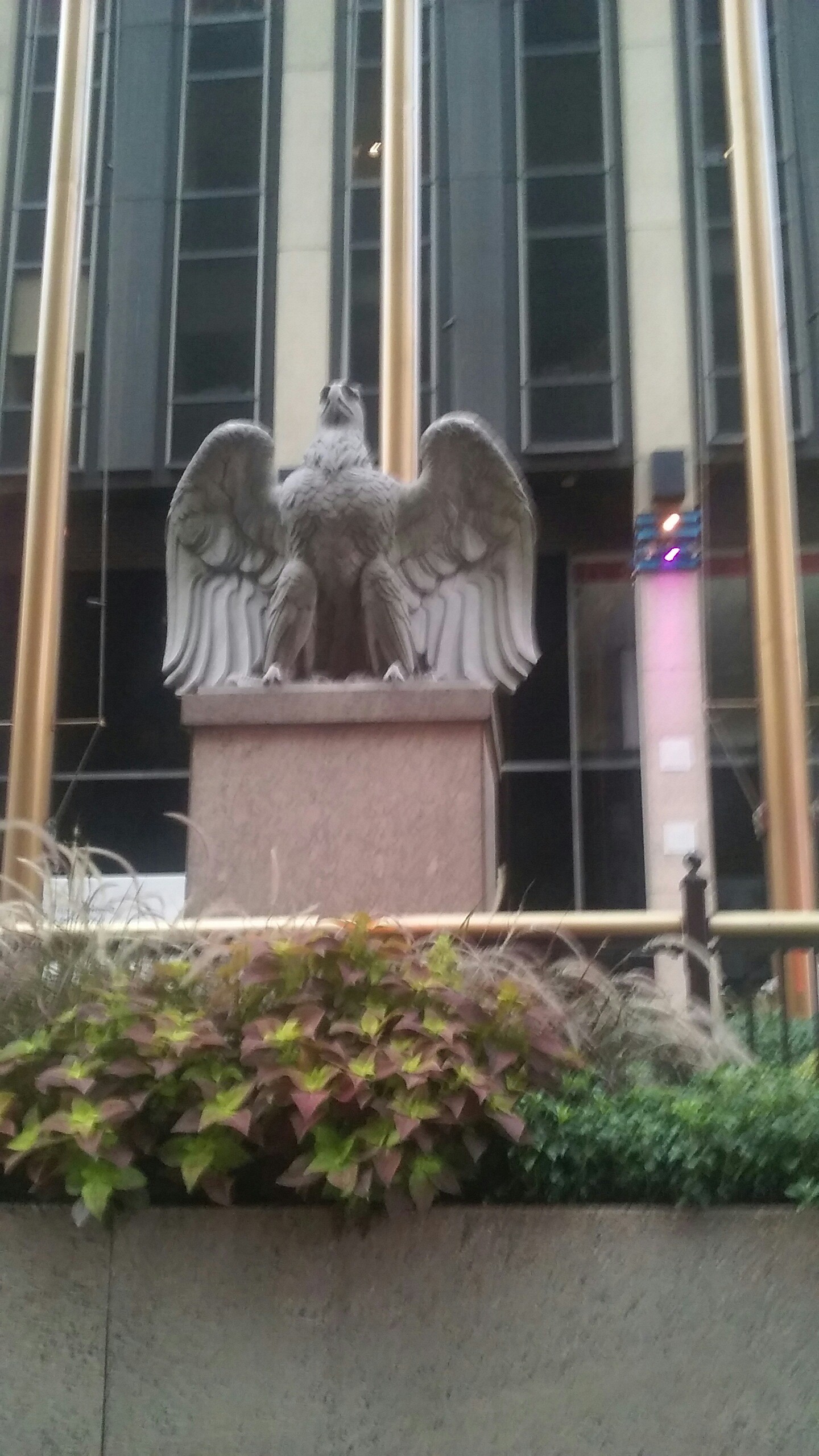 Photo credit: yellowpages