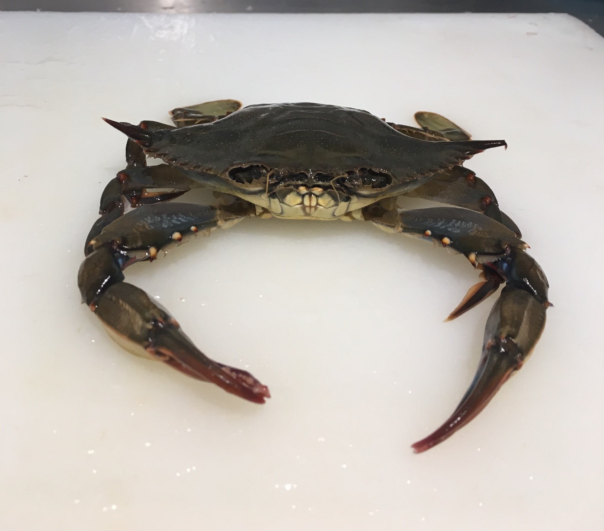 Greenpoint Fish & Lobster Co. 114 Nassau Ave, Brooklyn
