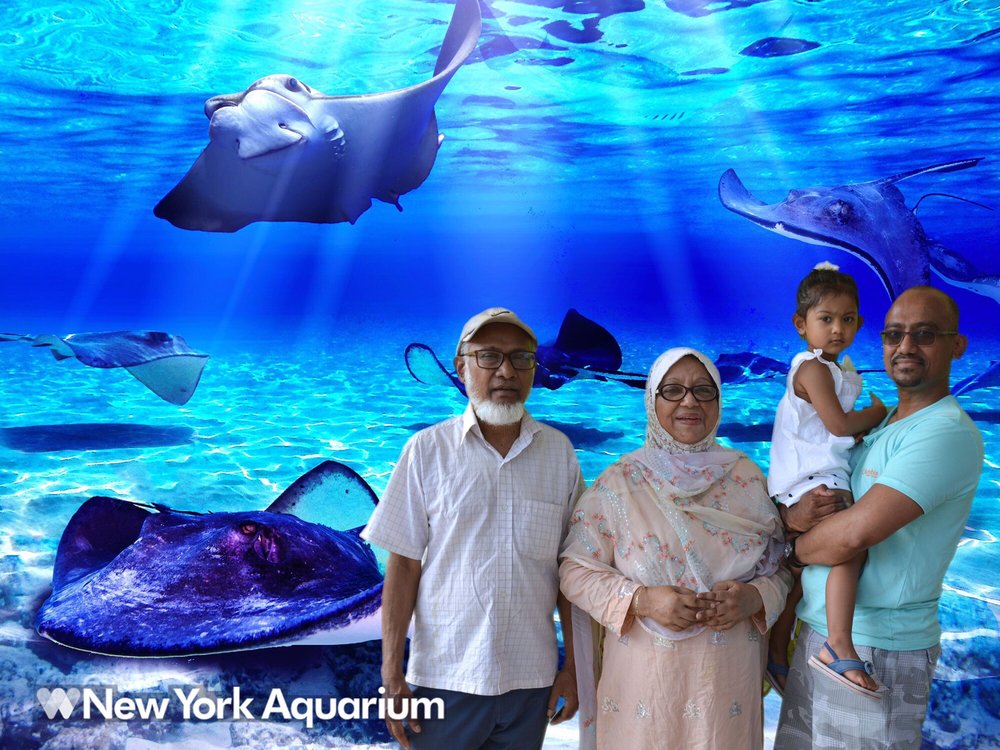 New York Aquarium 602 Surf Ave, Brooklyn