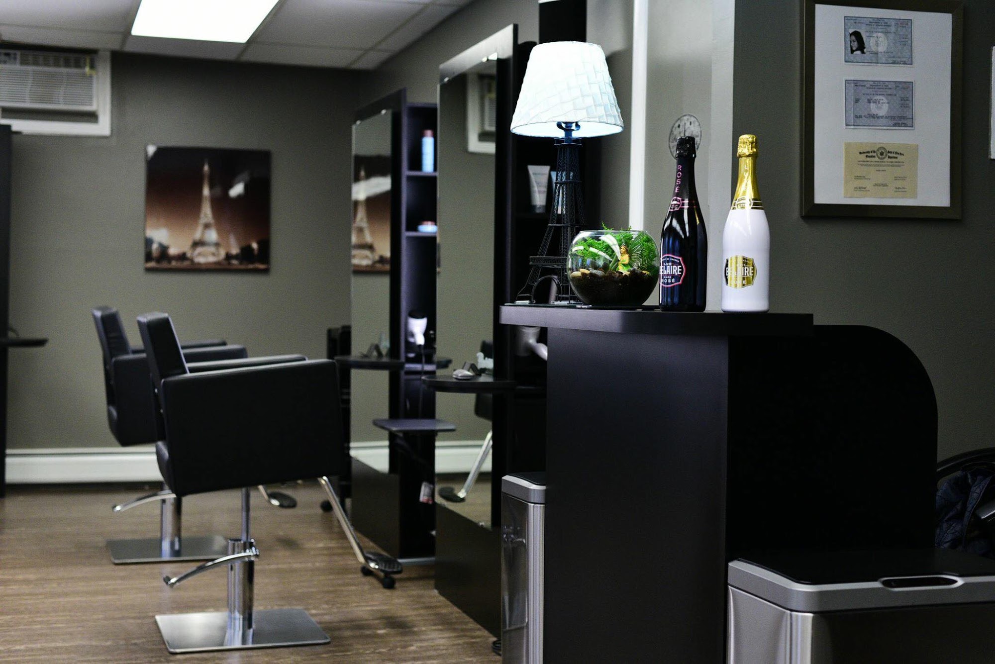 Salina Paris Salon and Barbershop