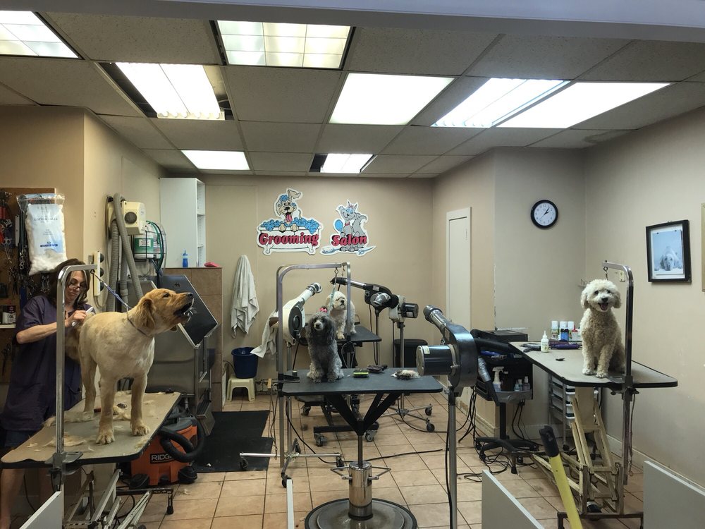 Pretty Pets 79 Ashford Ave, Dobbs Ferry