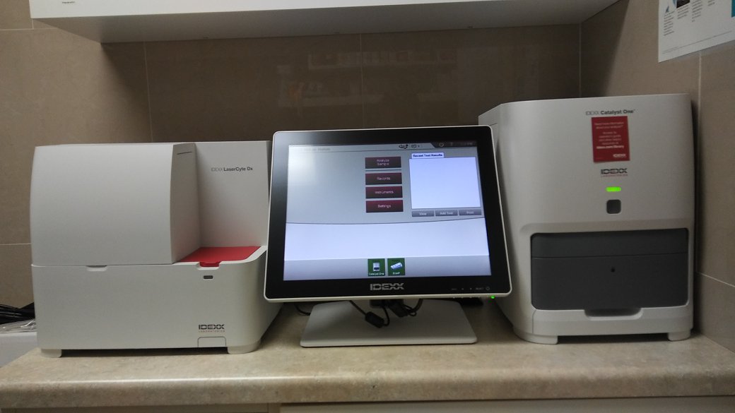 Flushing Animal Health Flushing