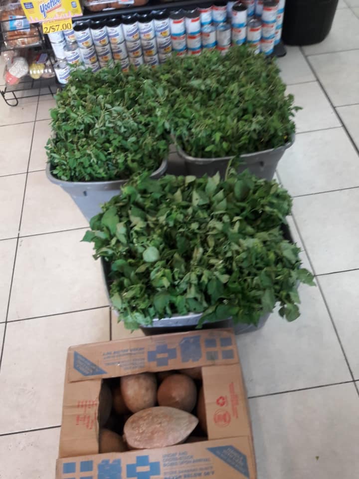 Bravo Supermarket 210 Glen St, Glen Cove