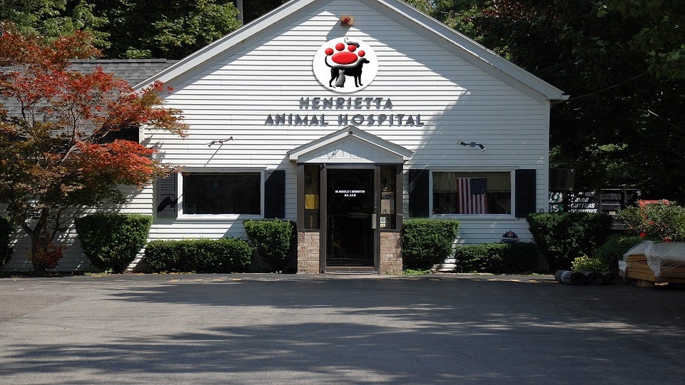 Henrietta Animal Hospital 3156 E Henrietta Rd, Henrietta