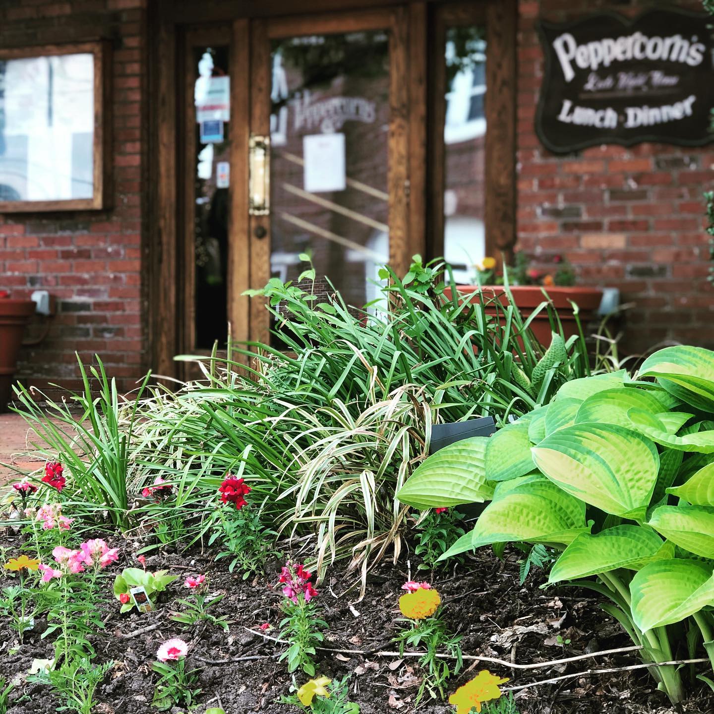 Peppercorns 25 E Marie St, Hicksville