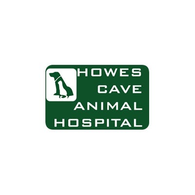 Howes Cave Animal Hospital 521 Caverns Rd, Howes Cave New York 12092