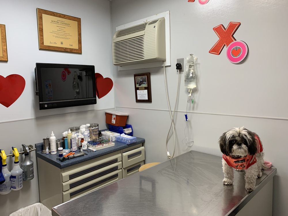 Island Park Animal Hospital 4417 Austin Blvd, Island Park
