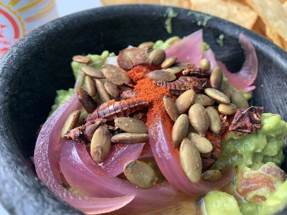 Armadillo 97 Abeel St, Kingston