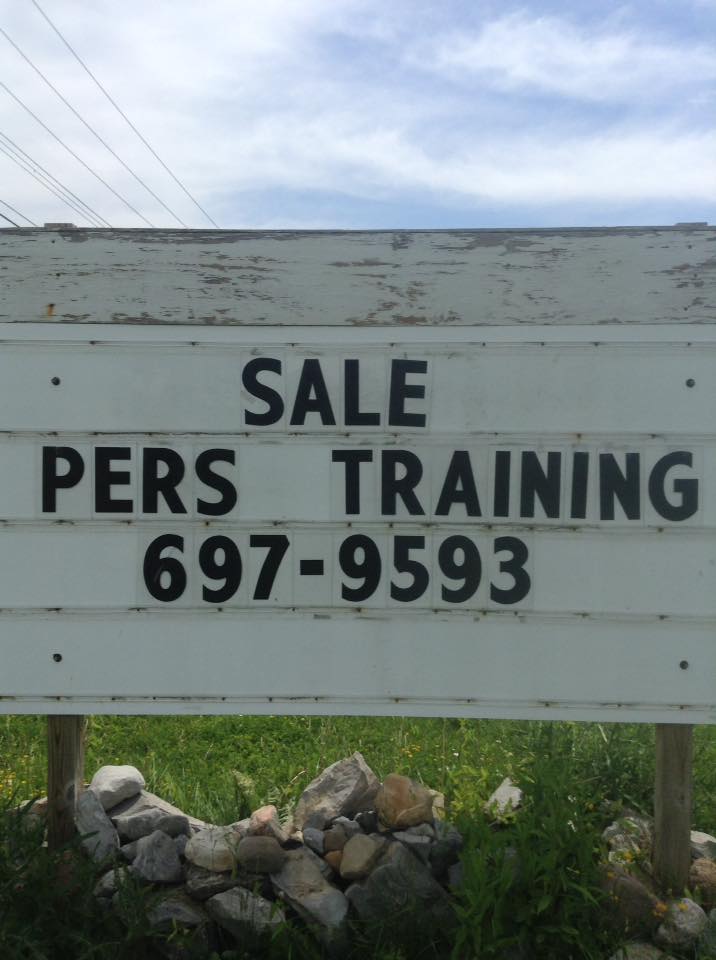 ADVANTAGE FITNESS 6161 Broadway, Lancaster
