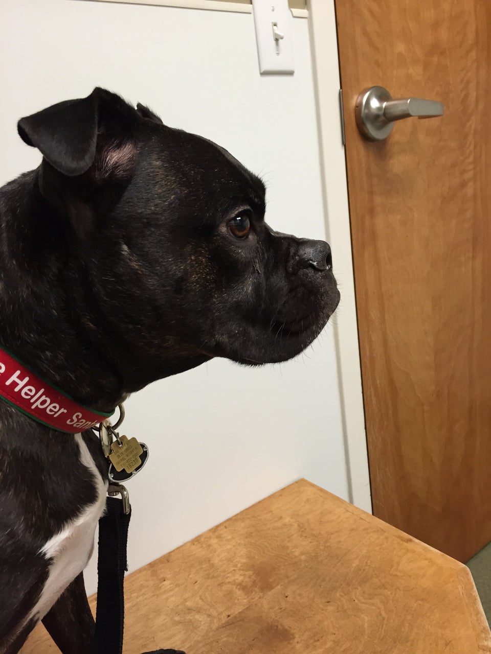 Alliance Animal Hospital 5915 Broadway, Lancaster
