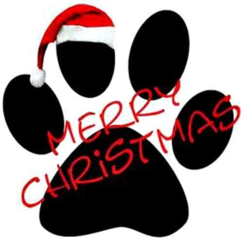 Tail Waggers Kennel Macedon