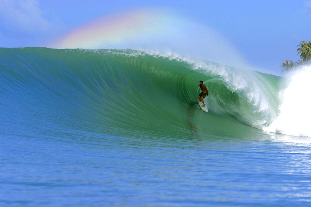 Indi Surf Skate 486 Plandome Rd, Manhasset