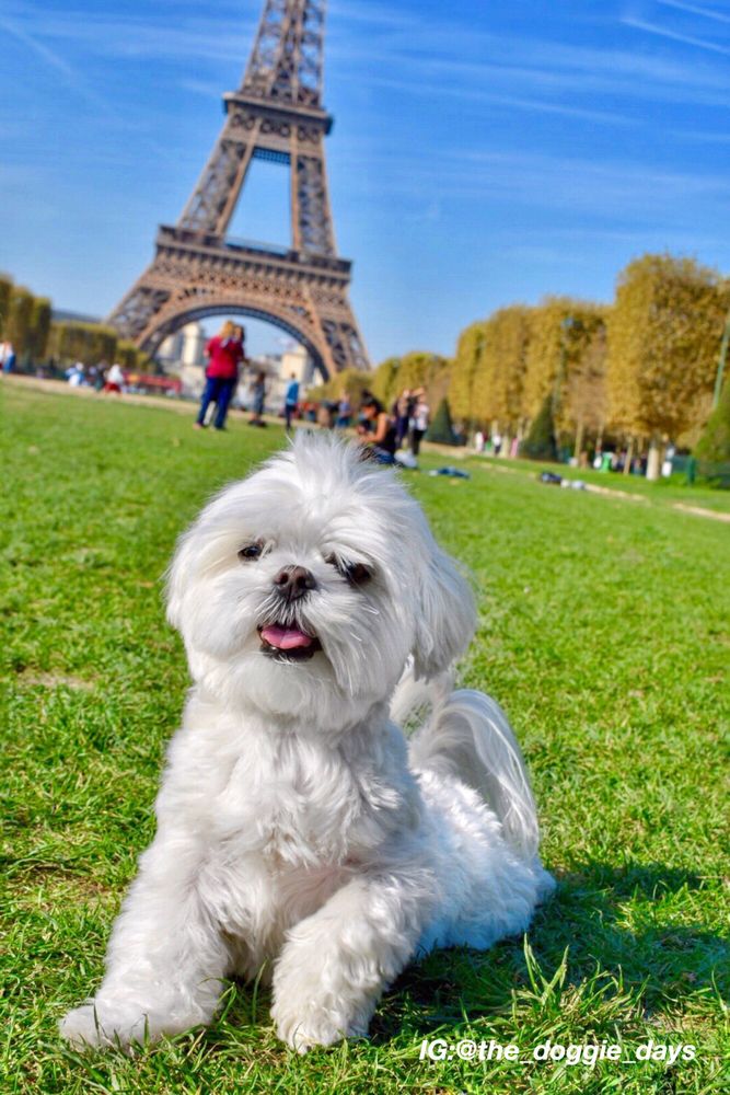 Photo credit: 