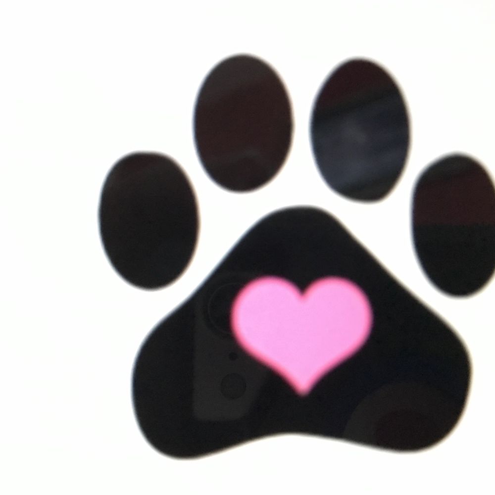 CLS Cremation Services Skaneateles