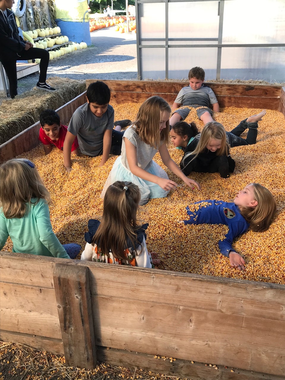 Cobble Creek Farm 5161 W Ridge Rd, Spencerport