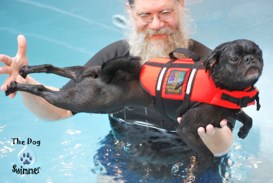 K9 Care Inc 838 Gallup Rd, Spencerport