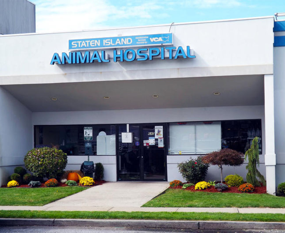 Staten Island Animal Hospital