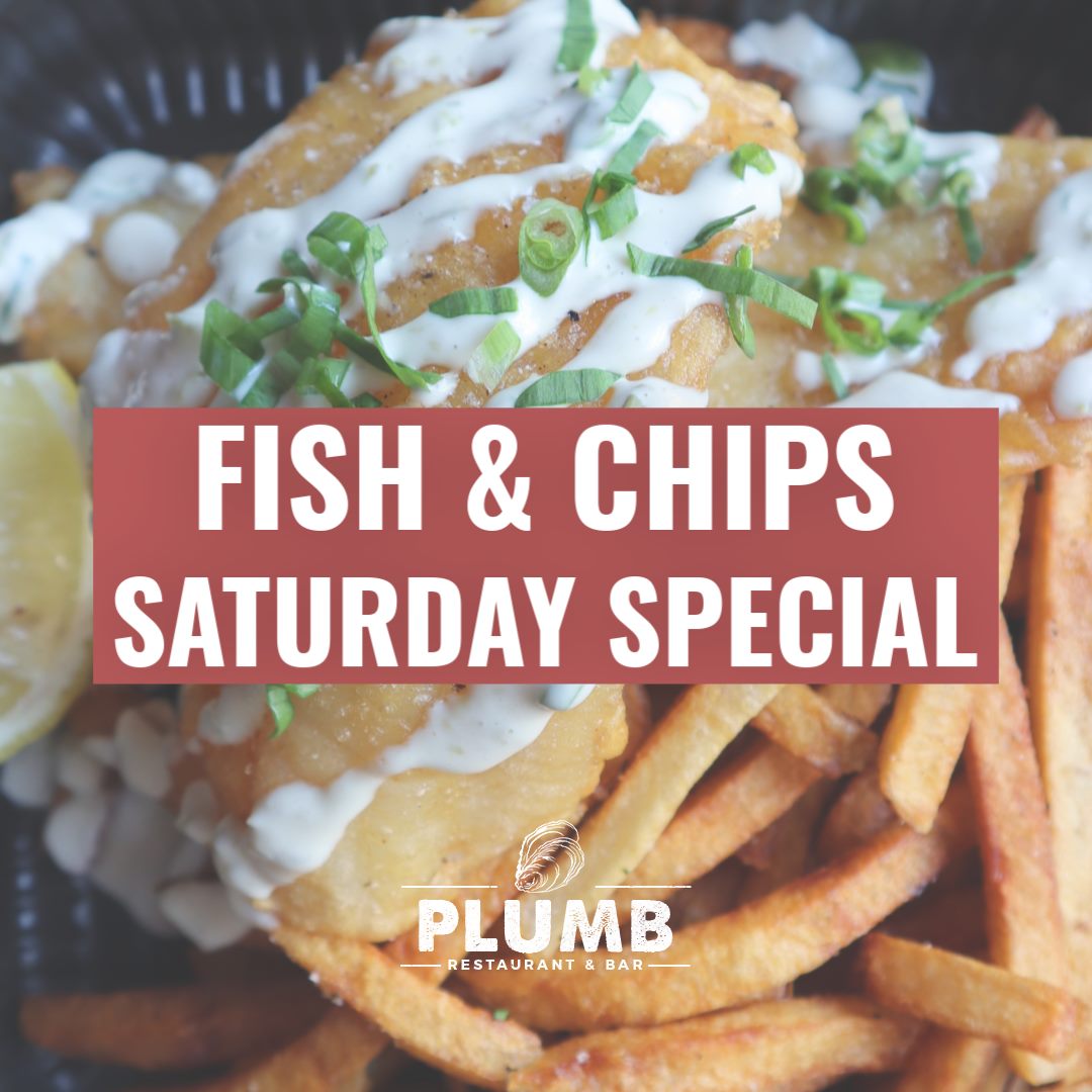 Plumb Oyster Bar 15 2nd St, Troy
