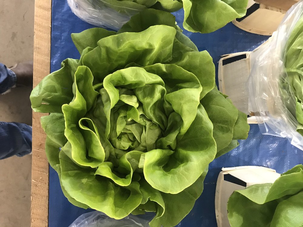 RUSSELL FARMS VESTAL Vestal NY Hours, Directions, Reviews Loc8NearMe