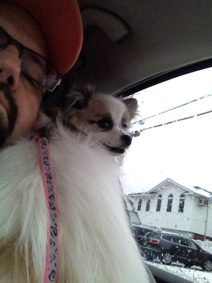 Dog Grooming By Rachel 2912 Merrick Rd, Wantagh