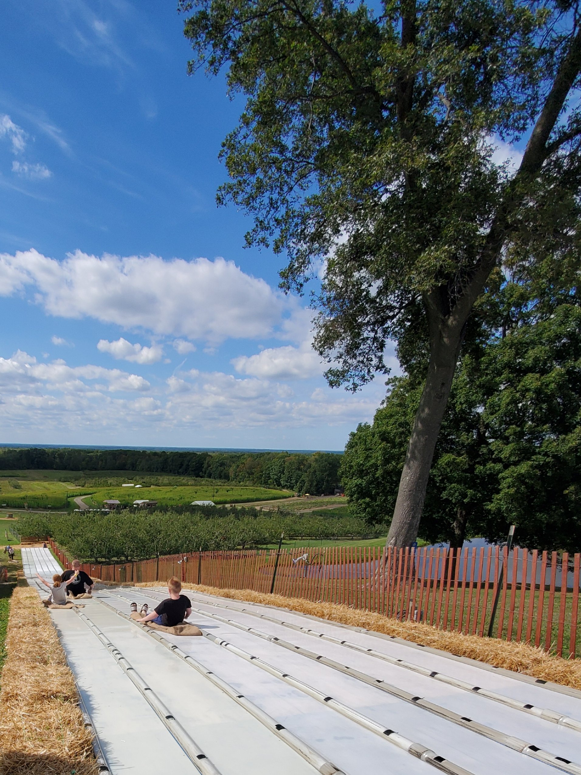 MAPLESIDE FARMS Brunswick OH Hours Directions Reviews Loc8NearMe mapleside-farms-brunswick-oh-hours-directions-reviews-loc8nearme