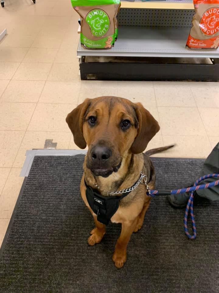 A Dog's Life of Chesterland, LLC 12654 W Geauga Plaza, Chesterland