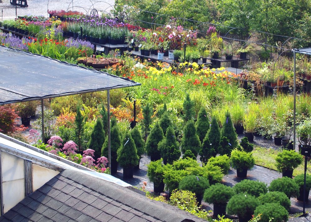 Landscape Creations Nursery 13040 Chillicothe Rd, Chesterland
