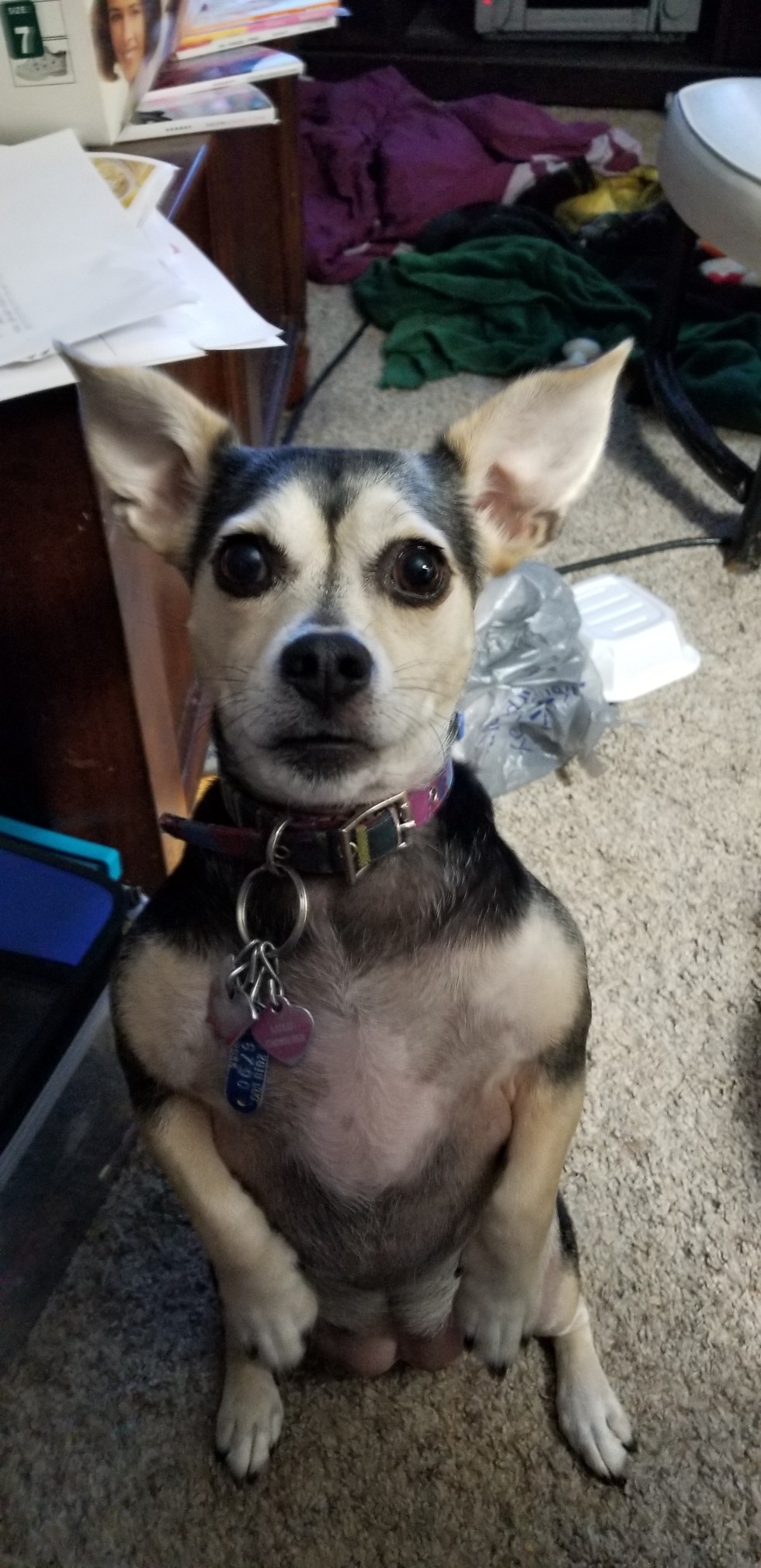 Photo credit: yellowpages