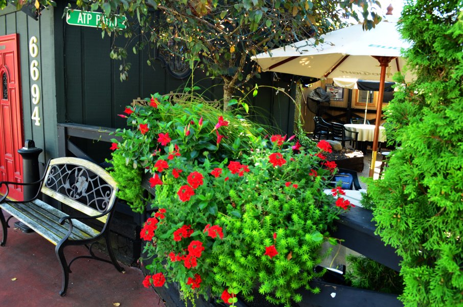 Photo credit: yellowpages