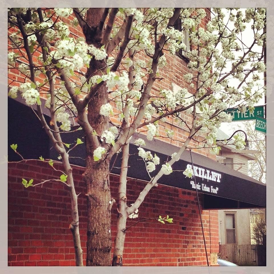 Photo credit: yellowpages