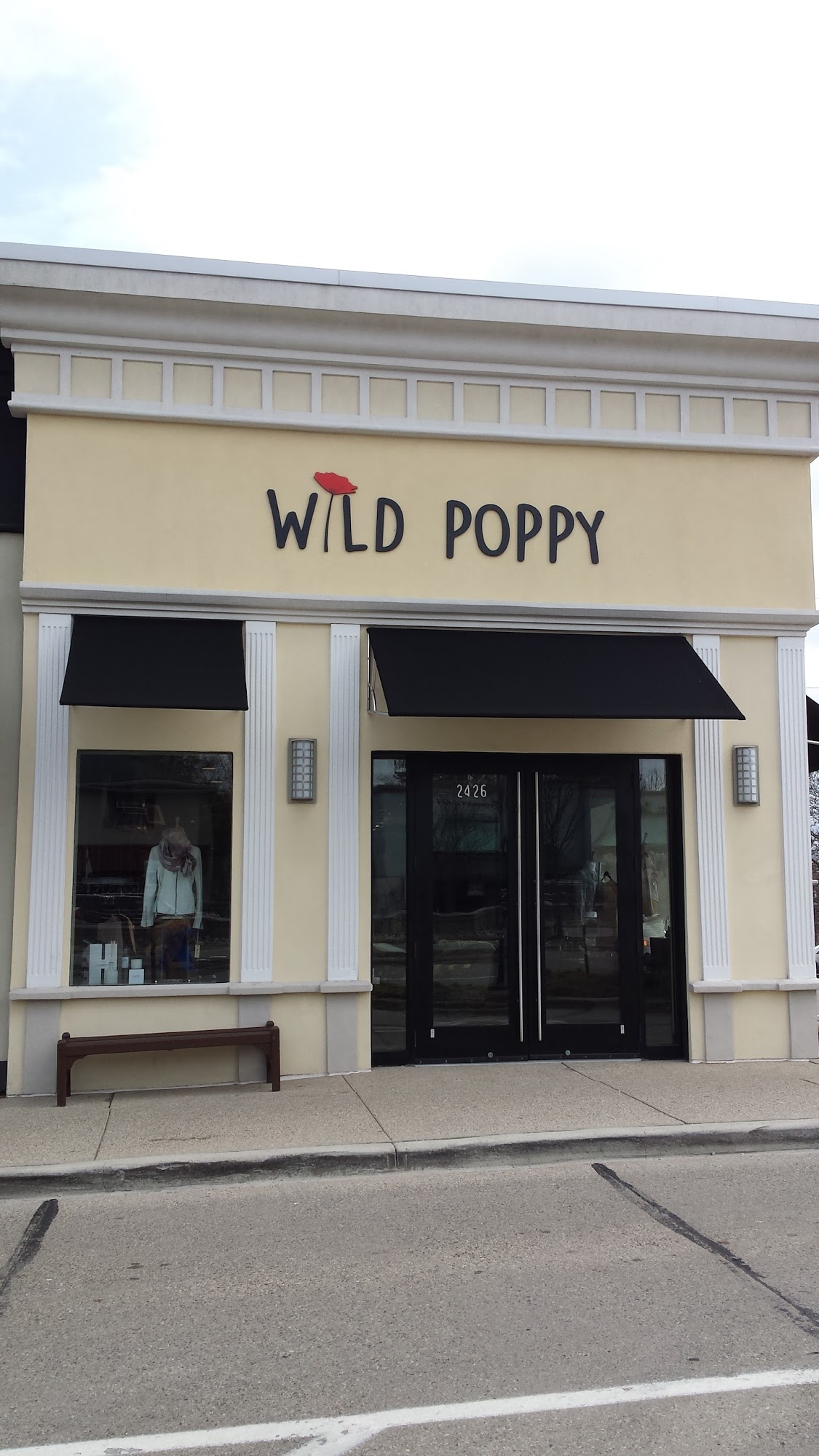 Wild Poppy