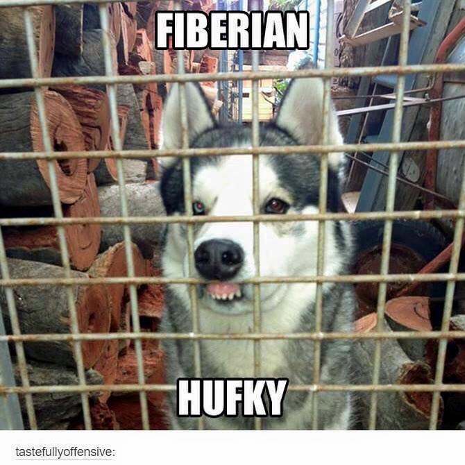 Vip Grooming Tahlequah