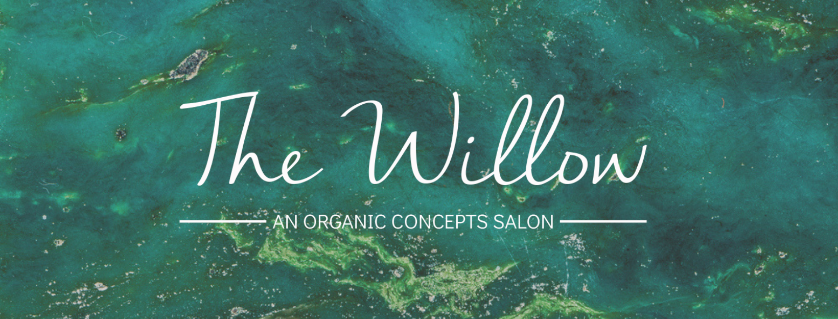 The Willow - an Organic Concepts Salon