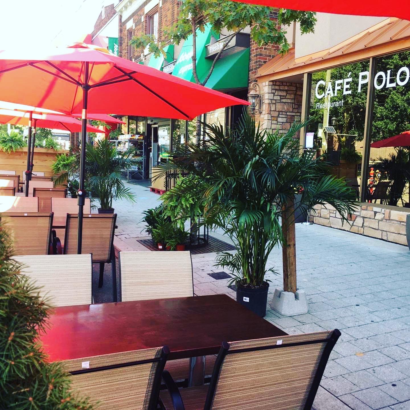 Cafe Polonez 195 Roncesvalles Ave, Toronto