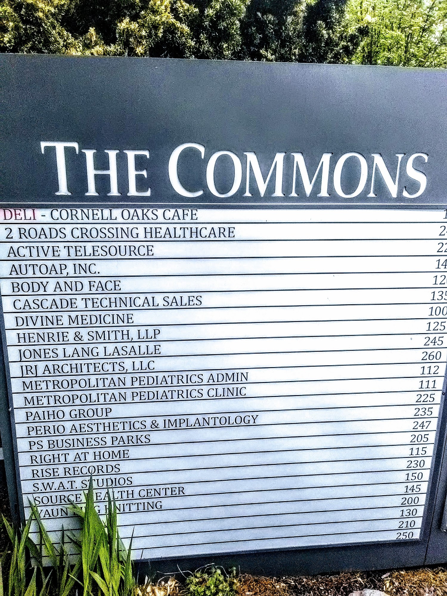 Photo credit: Google