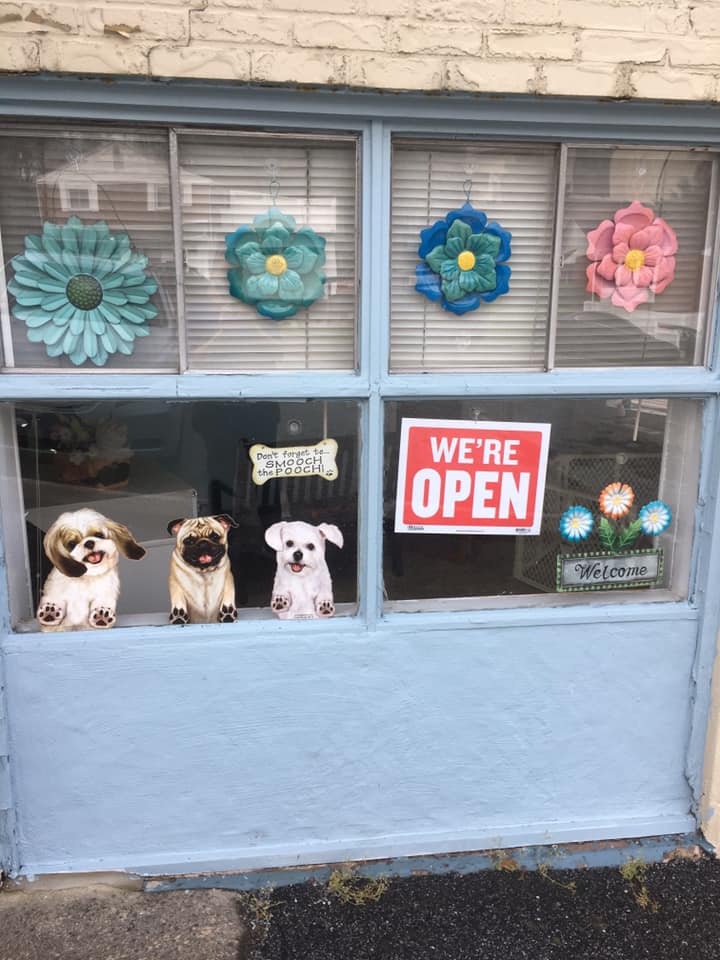 Kozy Kutz Dog Grooming Aston