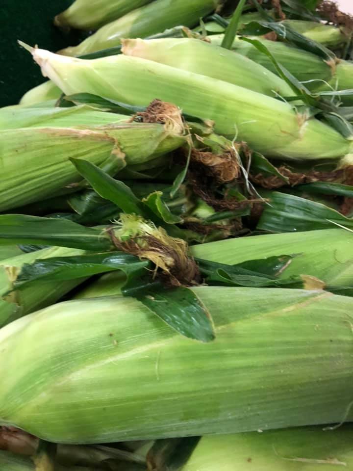 Top Picks from the Amish Market in Bristol, PA: Fresh Finds You Won't Believe!