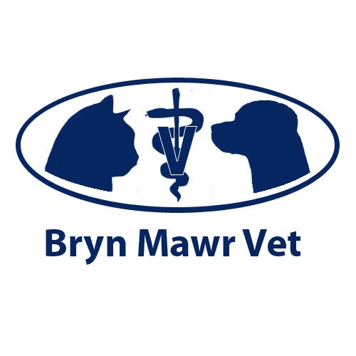 Bryn Mawr Veterinary Hospital 18 N Merion Ave, Bryn Mawr