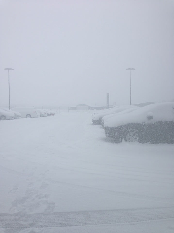 Avis Rent A Car Erie