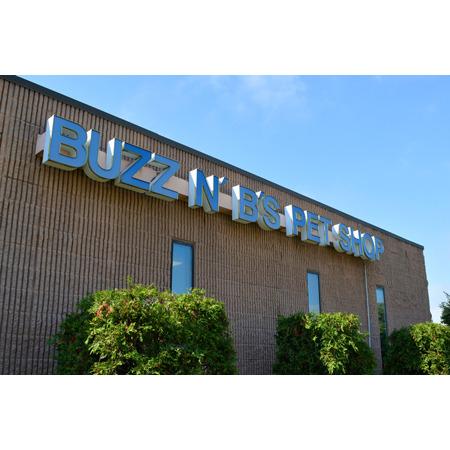 Buzz n B's Aquarium & Pet Shop