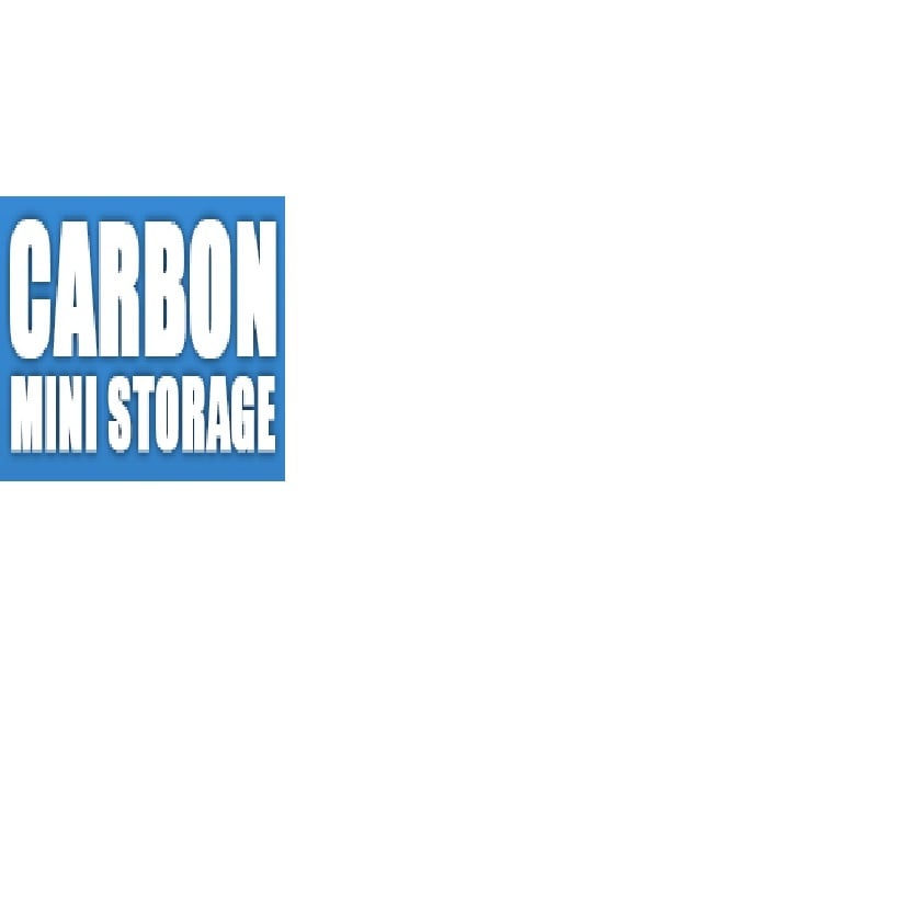 Carbon Mini Storage