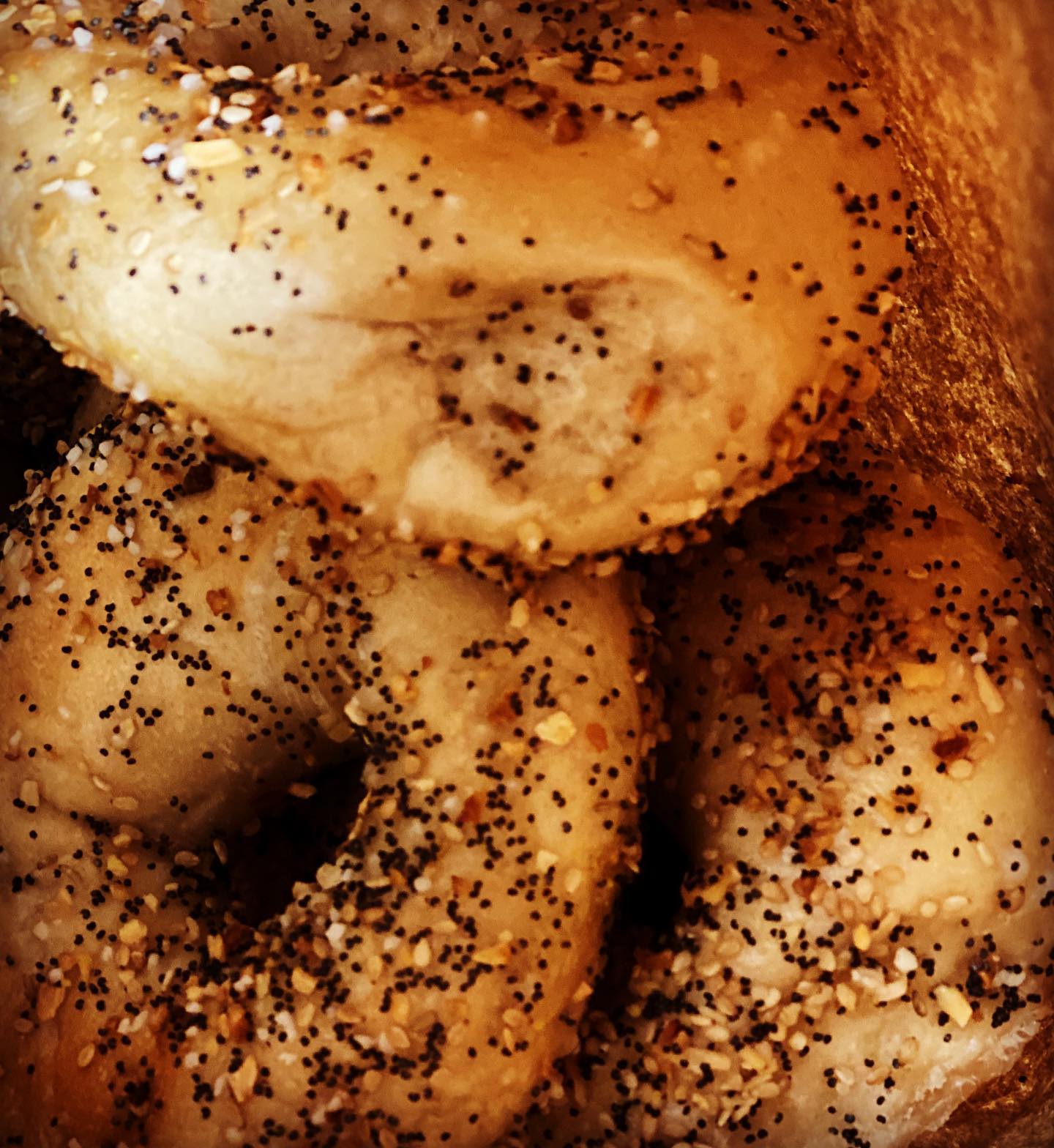 Thom's Bread Bakery 113 Butler Ave, Lancaster