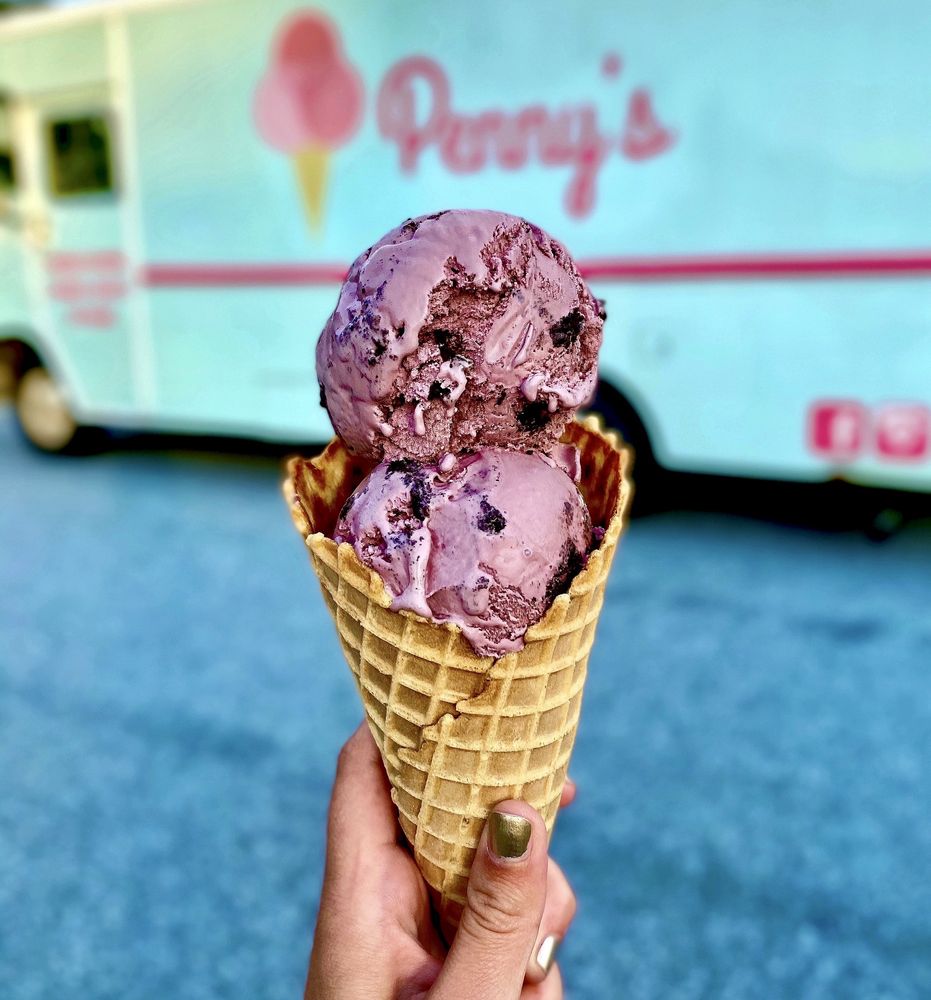 Penny's Ice Cream Truck 228 N Prince St, Lancaster