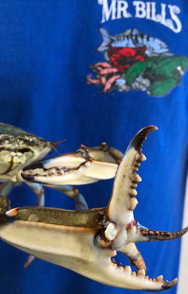 Mr. Bill's Fresh Seafood 430 Harrisburg Ave, Lancaster