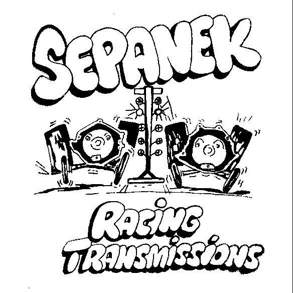 Sepanek Transmission Services